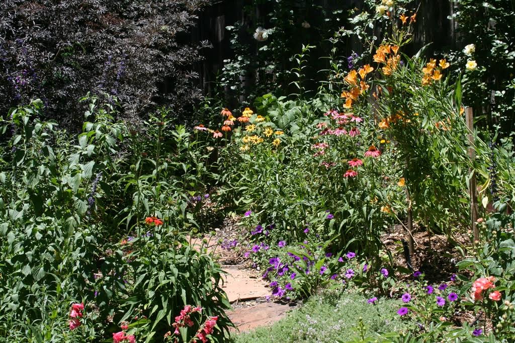 When and How to Prune Your Trees and Shrubs this Summer