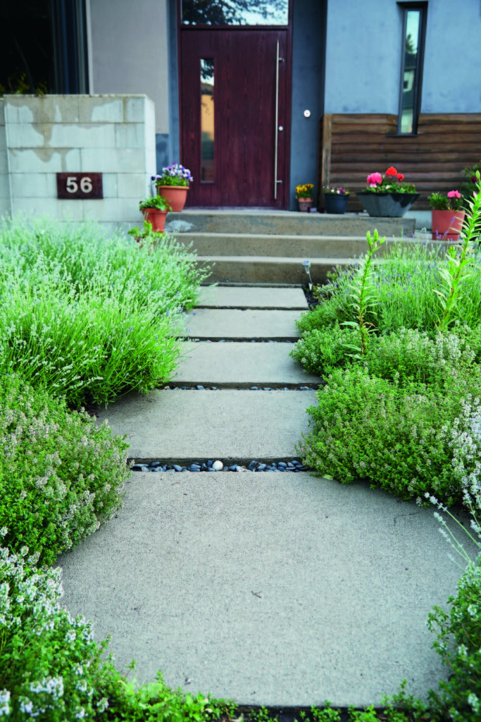 Gardening Your Front Pathway, Donna Griffith
