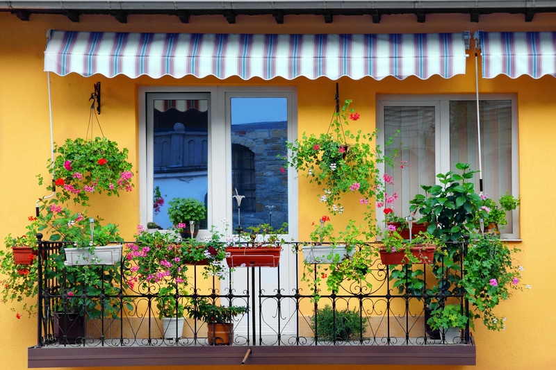 Balcony garden