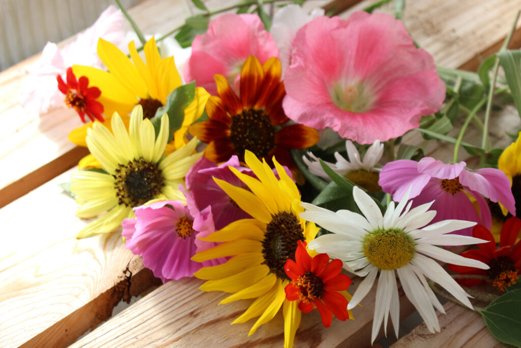 Assorted flowers harvested from the garden.