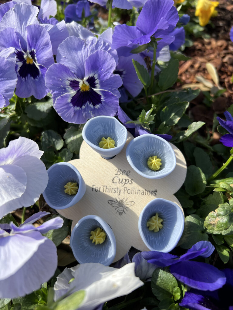 Blue Bee Vision Bee Cups and pansies