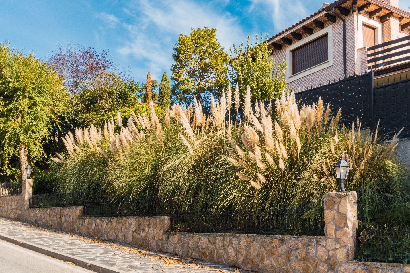Home with ornamental grass