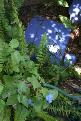 Installing Your Path